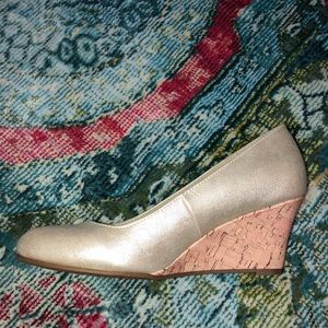 Metallic Wedge